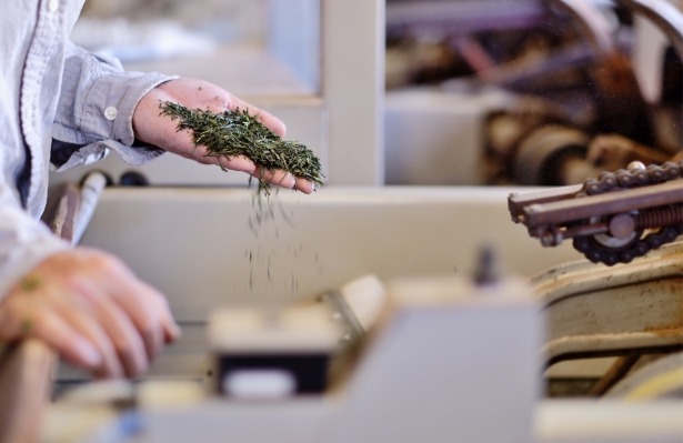 健康をそっと支える